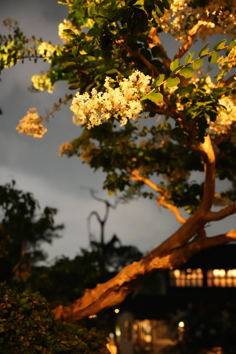 网师园 Suzhou Garden in the Evening