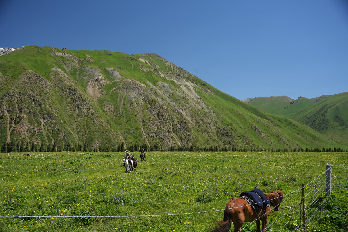 新疆 Xinjiang